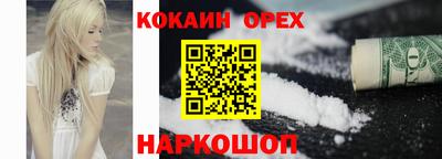 крисы Шебекино