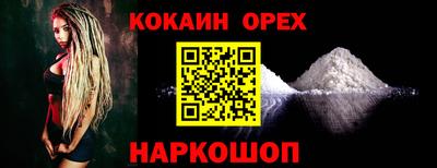крисы Шебекино