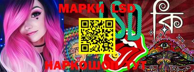 крисы Шебекино