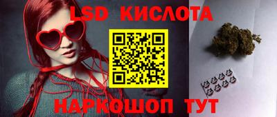 крисы Шебекино