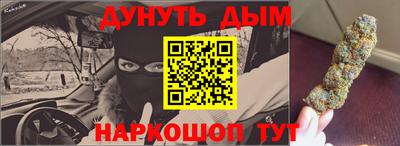 крисы Шебекино