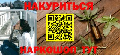 крисы Шебекино