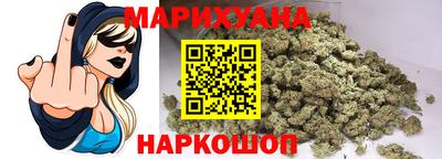 крисы Шебекино