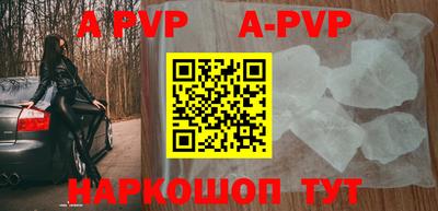 крисы Шебекино