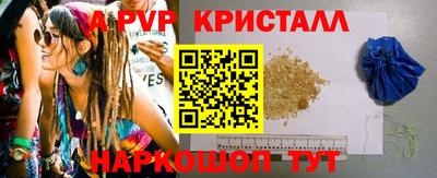 крисы Шебекино