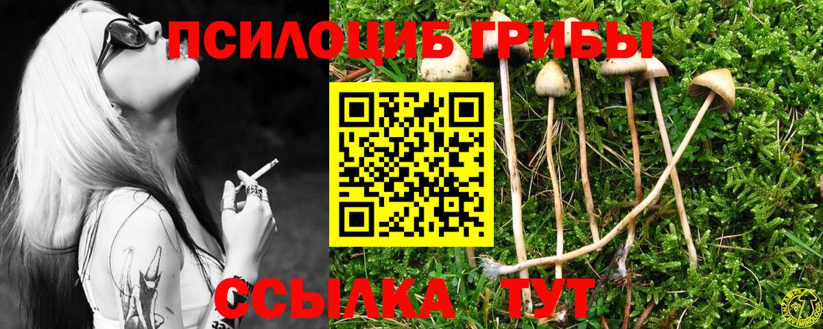 Псилоцибиновые грибы GOLDEN TEACHER Электрогорск