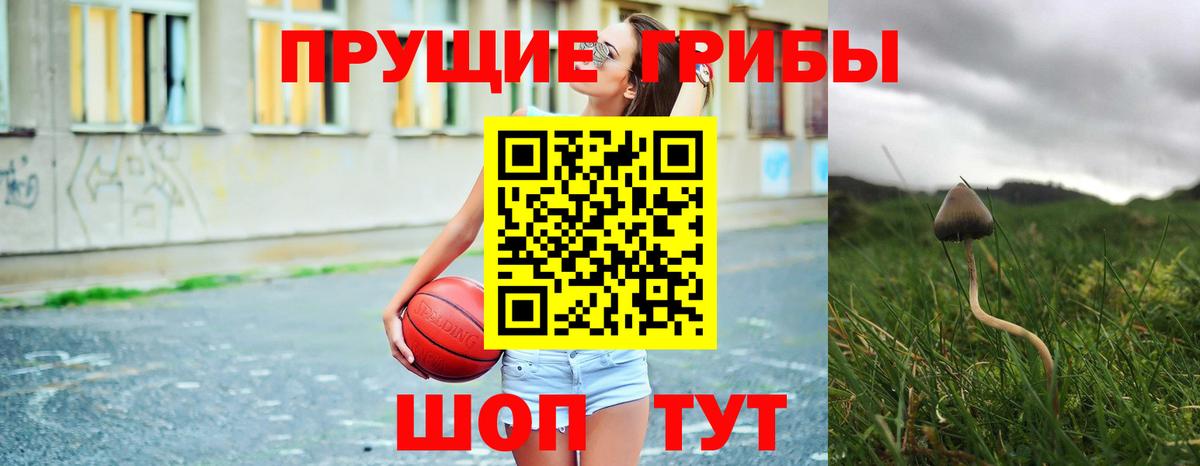 Псилоцибиновые грибы GOLDEN TEACHER  Вход с VPN  Электрогорск 